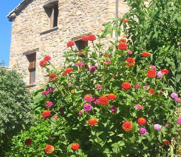 בית כפרי Casa L'apargatero Morillo de Monclus